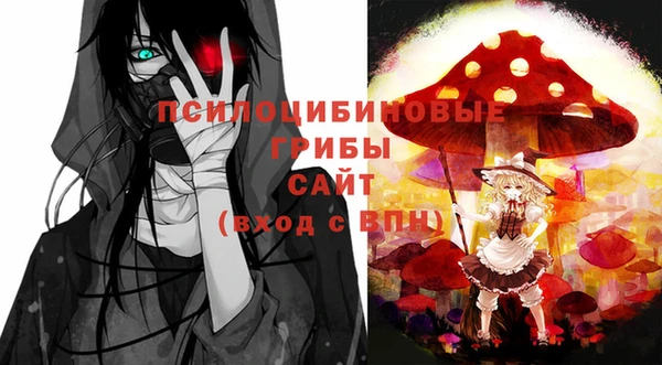 тгк Семёнов